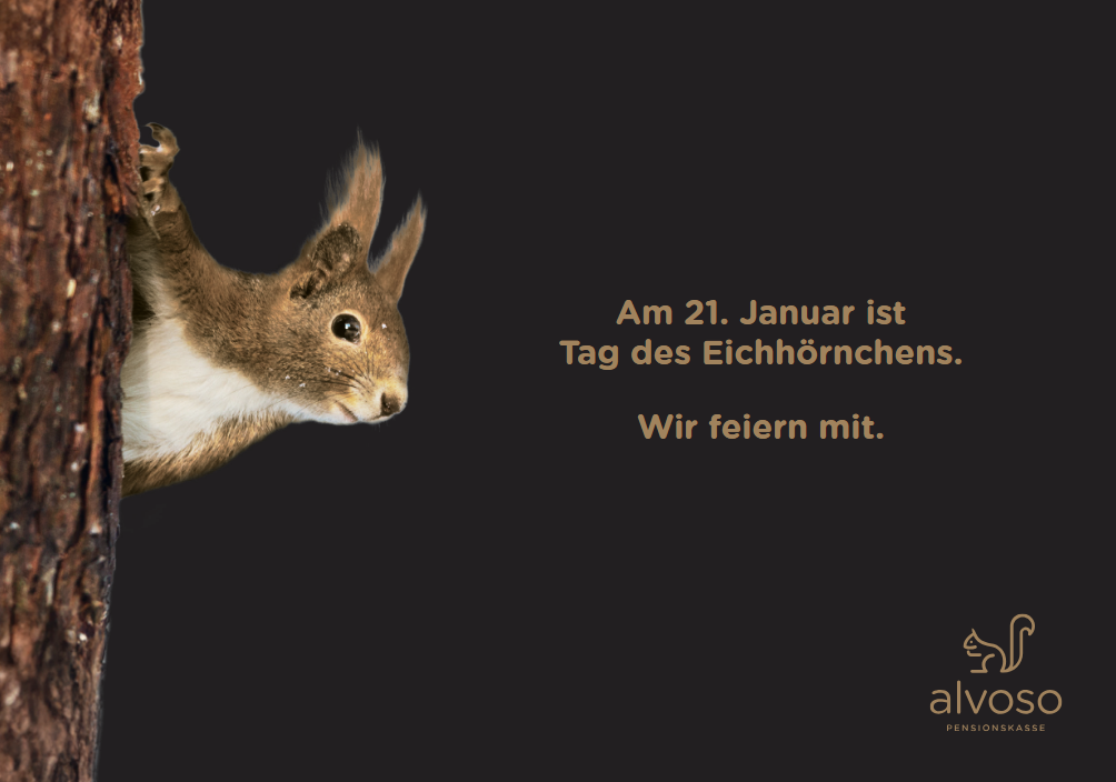 Heute ist Tag des Eichhörnchens